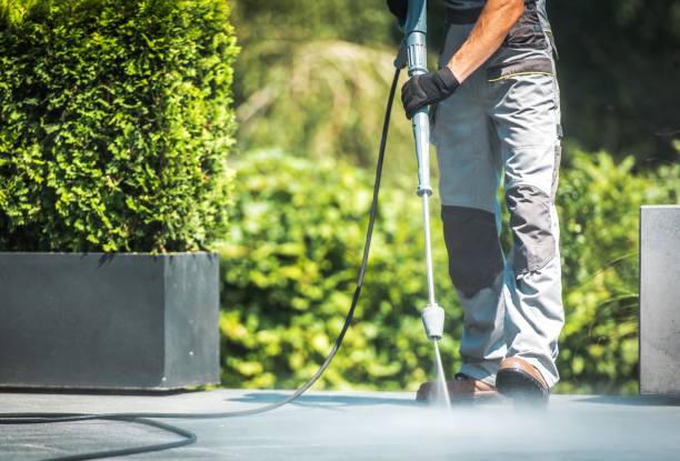 Animal Enclosure Cleaning in Roslyn Heights, NY